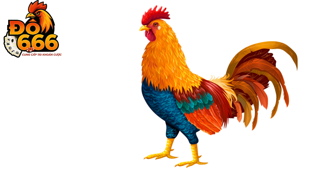 Bao nhiêu bet thủ tham gia cá cược đá gà tại Do666 mỗi ngày