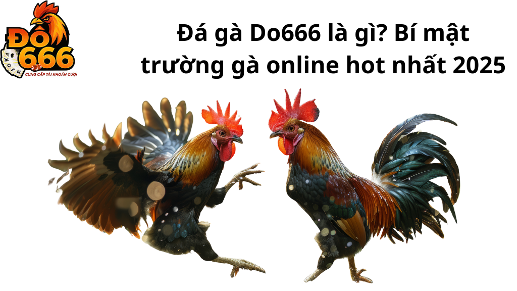 Đá gà Do666 là gì? Bí mật trường gà online hot nhất 2025