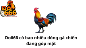 Do666 có bao nhiêu dòng gà chiến đang góp mặt