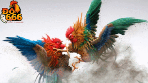 Do666 có bao nhiêu trận đá gà được phát sóng mỗi ngày