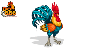 Khi nào Do666 tung khuyến mãi khủng cho đá gà?