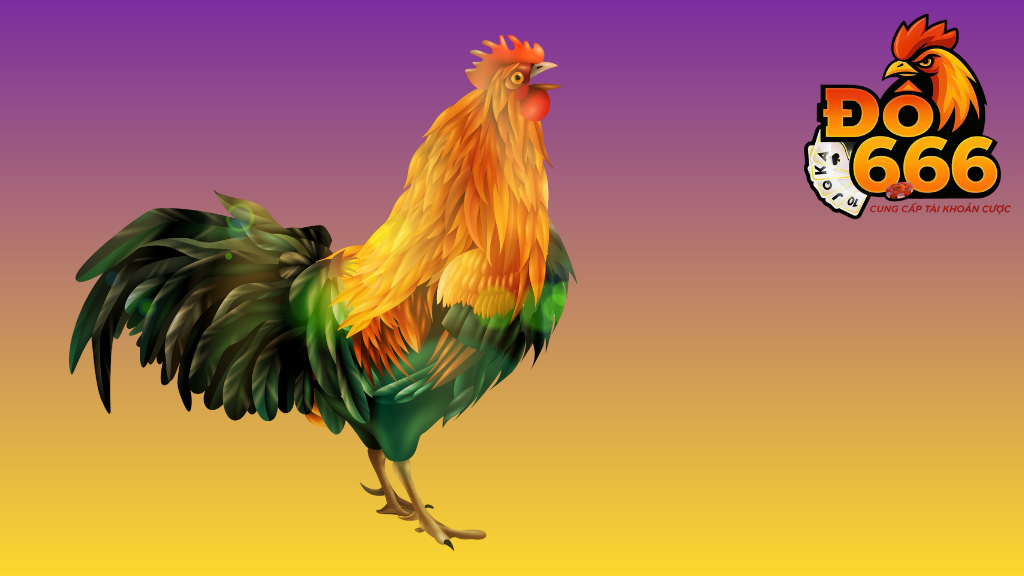 Tại sao đá gà online tại Do666 ngày càng hot?