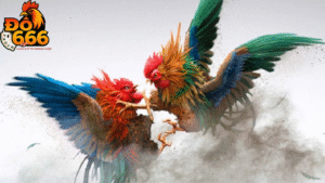 Tại sao gà tre Do666 lại được săn đón đến vậy?