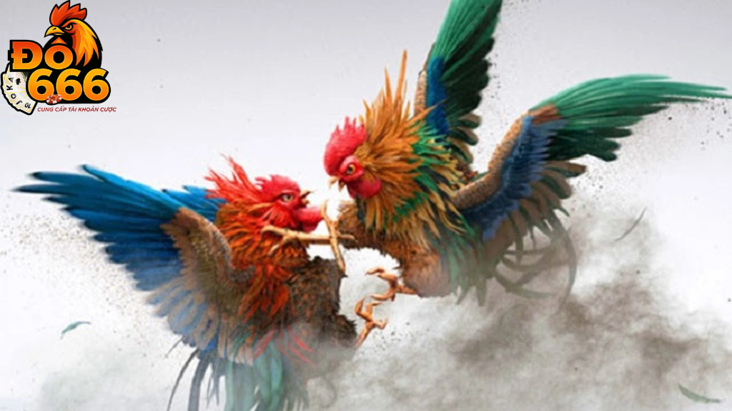 Tại sao gà tre Do666 lại được săn đón đến vậy?