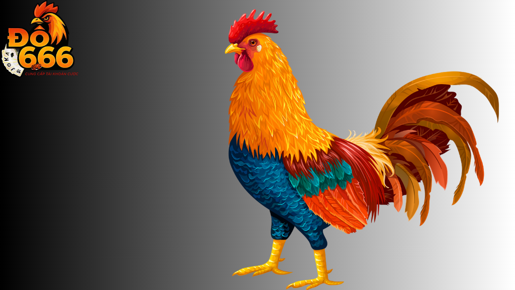Do666 bảo mật thông tin người chơi đá gà như thế nào?