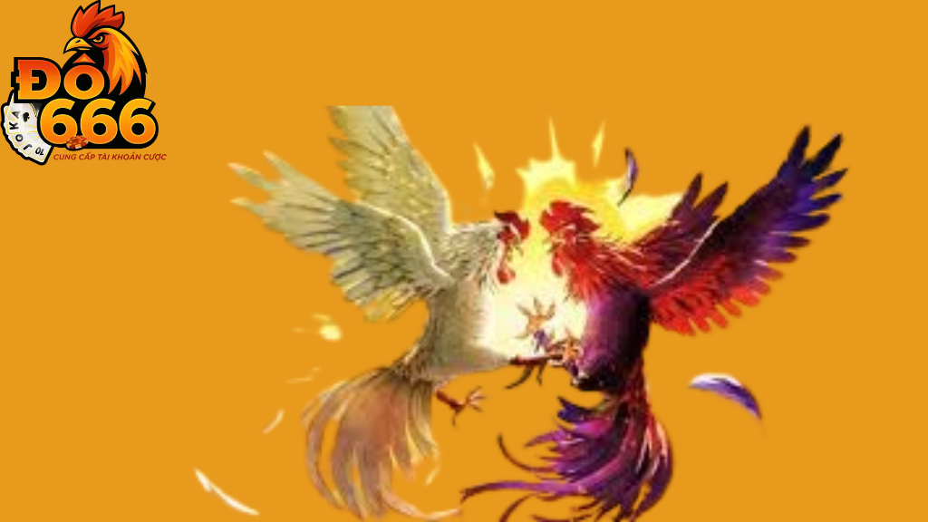 Do666 có bao nhiêu giải thưởng lớn cho đá gà trong năm nay