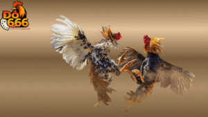 Khi nào bet thủ nên nạp tiền để chơi đá gà tại Do666?