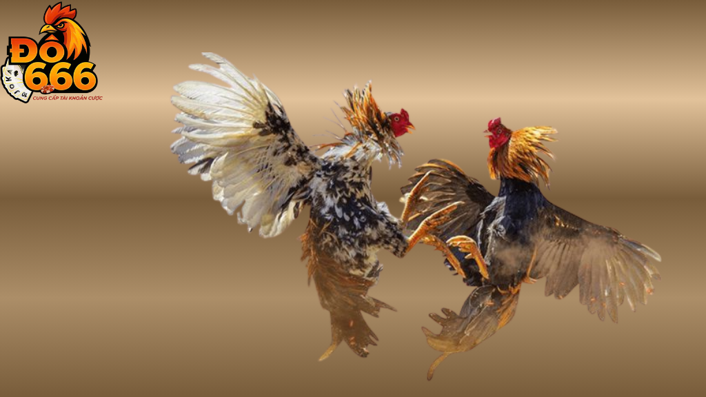 Khi nào bet thủ nên nạp tiền để chơi đá gà tại Do666?