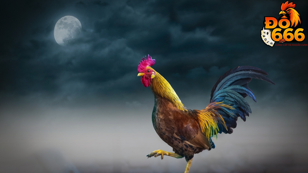 Ai là sư kê nổi bật tại Do666?