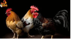 Do666 có bao nhiêu giải thưởng danh giá?