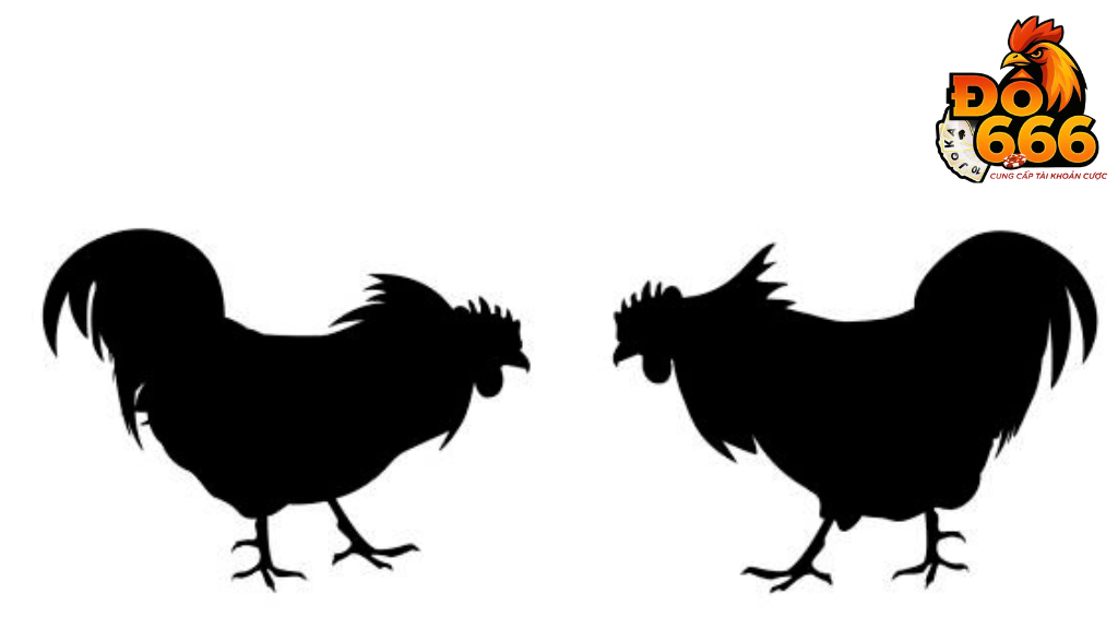 Ai là người đứng sau thiết kế đồ họa 3D ấn tượng của Do666?