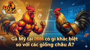 Gà Mỹ tại Do666 có gì khác biệt so với các giống châu Á?