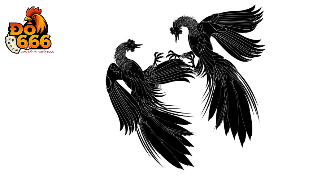 Ở đâu có thể cập nhật tin tức sự kiện mới nhất từ Do666?