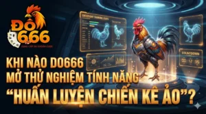 Khi nào Do666 mở thử nghiệm tính năng “Huấn luyện chiến kê ảo”?
