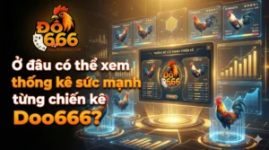 Ở đâu có thể xem thống kê sức mạnh từng chiến kê Do666?