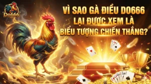 Vì sao gà điều Do666 lại được xem là biểu tượng chiến thắng?