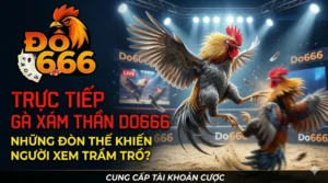 Trực tiếp gà xám thần Do666 – những đòn thế khiến người xem trầm trồ