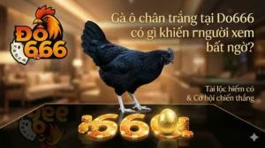 Gà ô chân trắng tại Do666 có gì khiến người xem bất ngờ?
