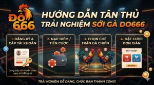 Hướng dẫn người mới trải nghiệm sới gà Do666 ?