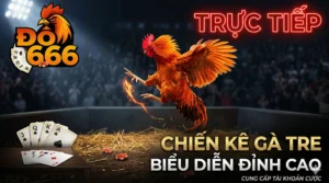Trực tiếp Do666: Chiến kê gà tre biểu diễn đỉnh cao